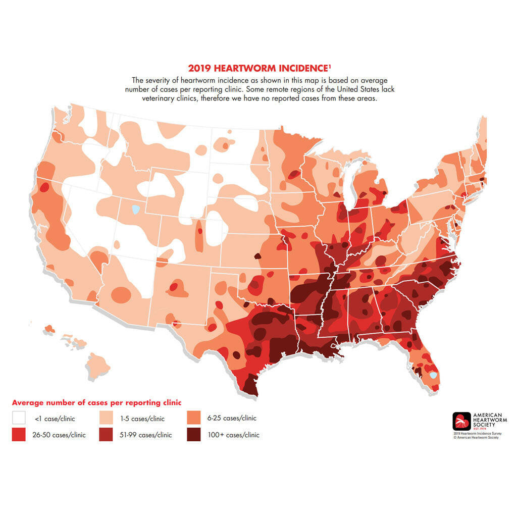Heartgard Plus for Dog, 51-100 lbs heartworm map