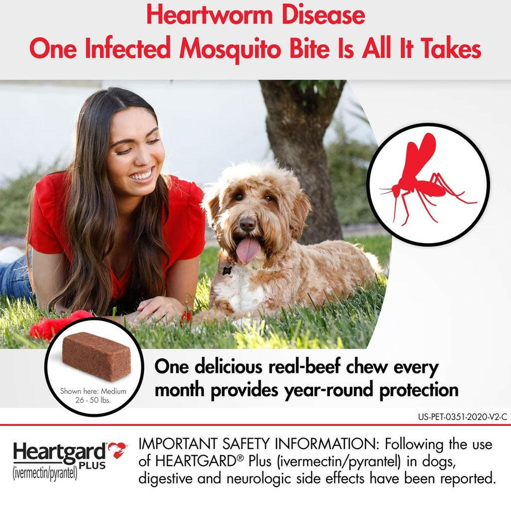 This dog heartworm medication provides year round protection when given monthly