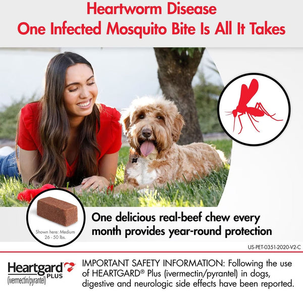 Heartgard Plus Chew for Dogs, up to 25 lbs heartworm disease