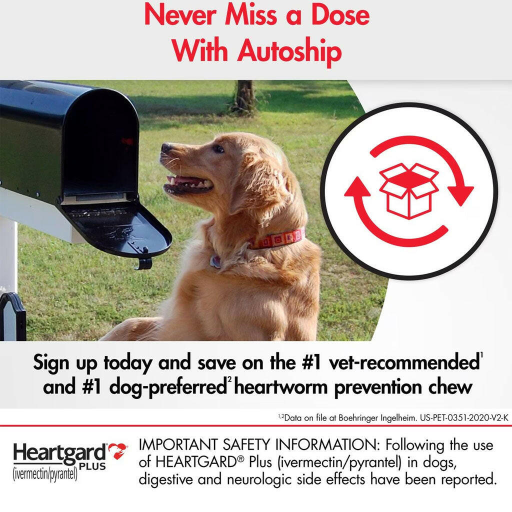 Heartgard Plus for Dog, 51-100 lbs autoship