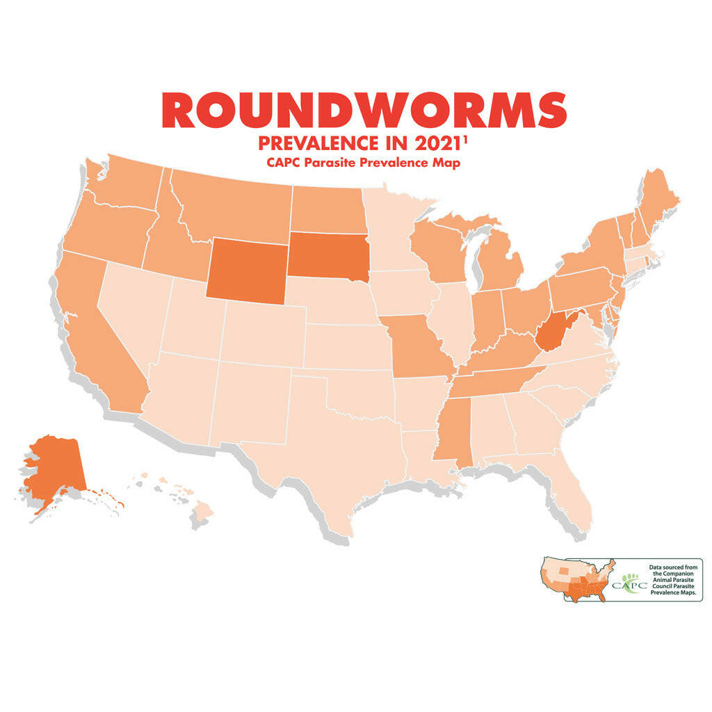 Heartgard Plus Chew for Dogs, up to 25 lbs roundworms map