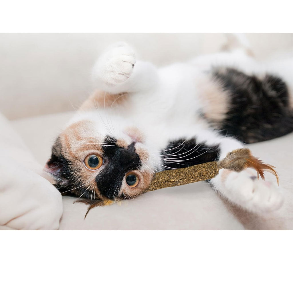 Ethical Pet Spot Catnip Stick Compressed Catnip Toy