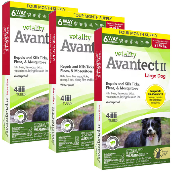 TevraPet Vetality Avantect II for Large Dog 21-55 lbs 12 months