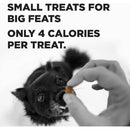 Bixbi Pocket Trainers Grain-Free Bacon Treats for Dogs  (6 oz)