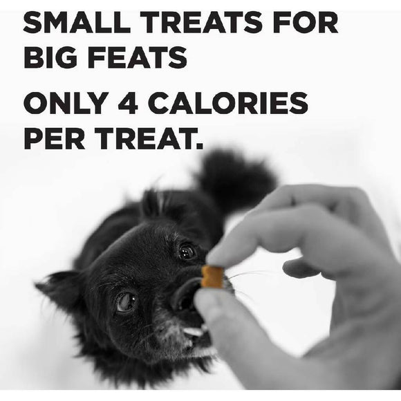 Bixbi Pocket Trainers Grain-Free Bacon Treats for Dogs  (6 oz)