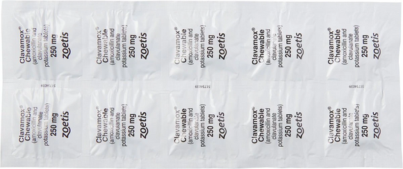 Clavamox (amoxicillin trihydrate/clavulanate potassium) Chewable Tablets, 250mg