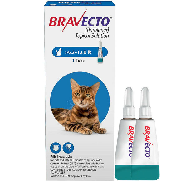 cat flea and tick prevention