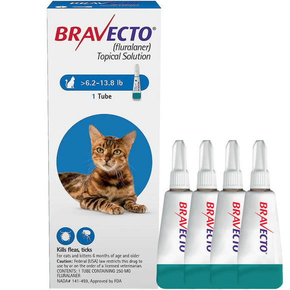 Bravecto topical cats