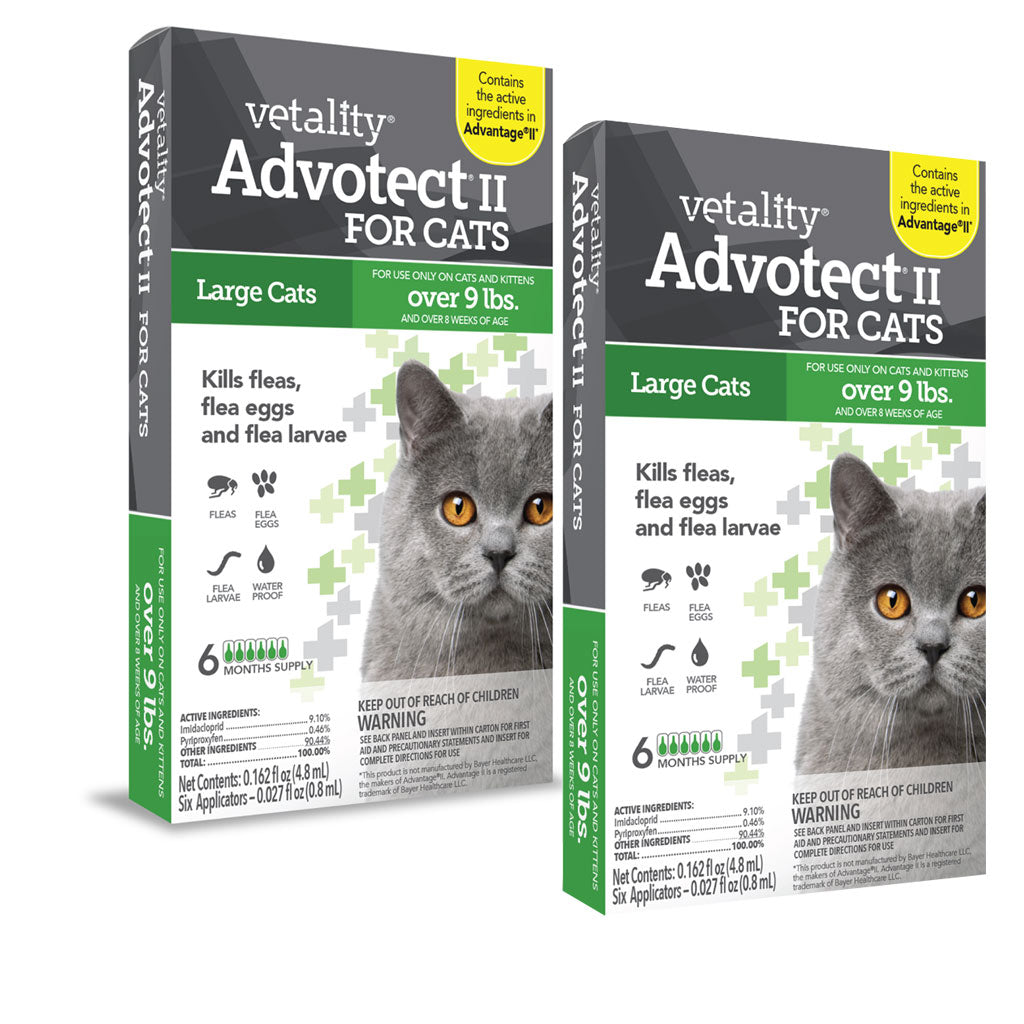 TevraPet Advotect II: Topical Flea and Tick Solution for Big Cats