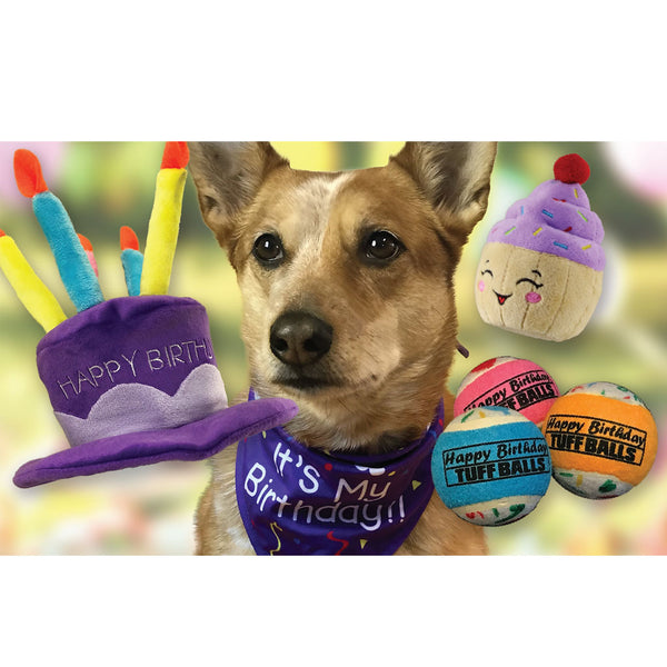 Petsport USA Happy Birthday Jr. Tuff Ball Dog Toys