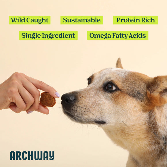 Archway Single Ingredient Sustainable Fish Dehydrated Dog Treats, 2.5-oz Dog Treats.