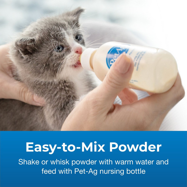 kitten formula milk powder