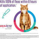 bravecto feline topical kills 100% of fleas within 8 hours of application