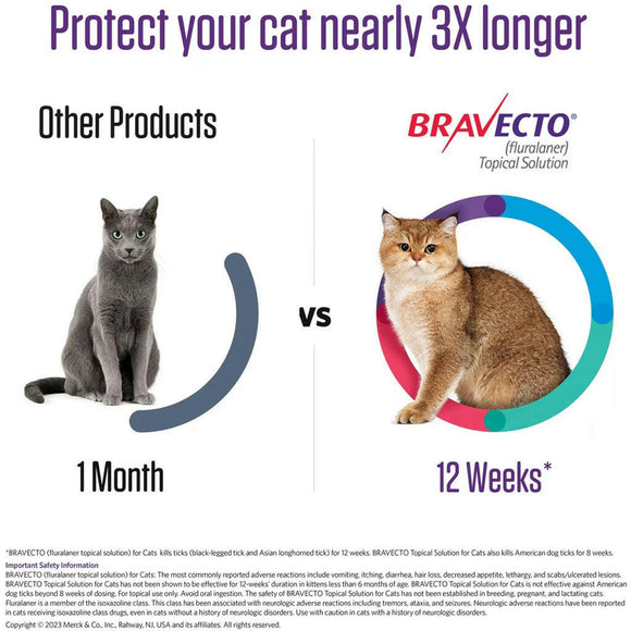 Bravecto Topical Solution for Cats 2.6-6.2 lbs