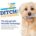 TevraPet Vetality Brush Free Oral Gel for Dogs, Chicken Flavor