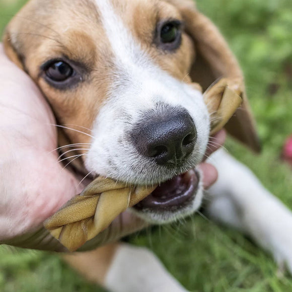 All-Natural Dog Treats for Happy Pets