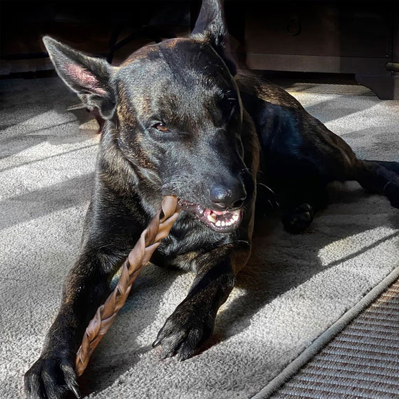 Fieldcrest Farms Premium Dog Chews 12" Braided Bully Crunchers