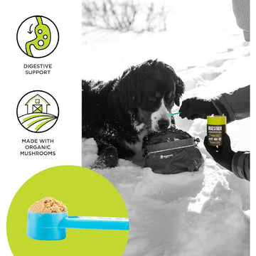 Bixbi Digestive Support Powdered Mushroom Supplement For Dogs & Cats (60 g)