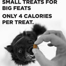 Bixbi Pocket Trainers Grain-Free Peanut Butter Treats for Dogs (6 oz)