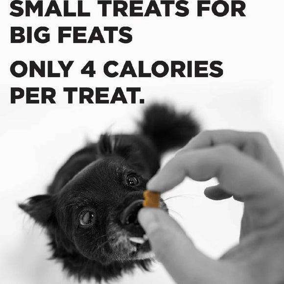 Bixbi Pocket Trainers Grain-Free Peanut Butter Treats for Dogs (6 oz)