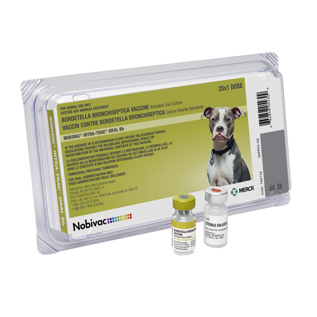 Nobivac Intra-Trac Oral Bb Vaccine for Dogs, 25 Doses