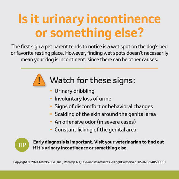 Incurin (Estriol) Tablets - Incontinence Medication for Dogs