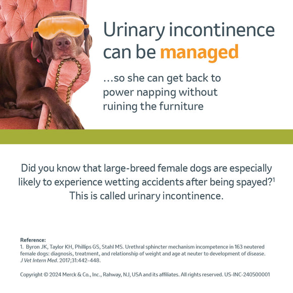 Incurin (Estriol) Tablets - Incontinence Medication for Dogs