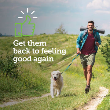 TevraPet Vetality Canine Aspirin for Small & Medium 10-50 lbs Dogs