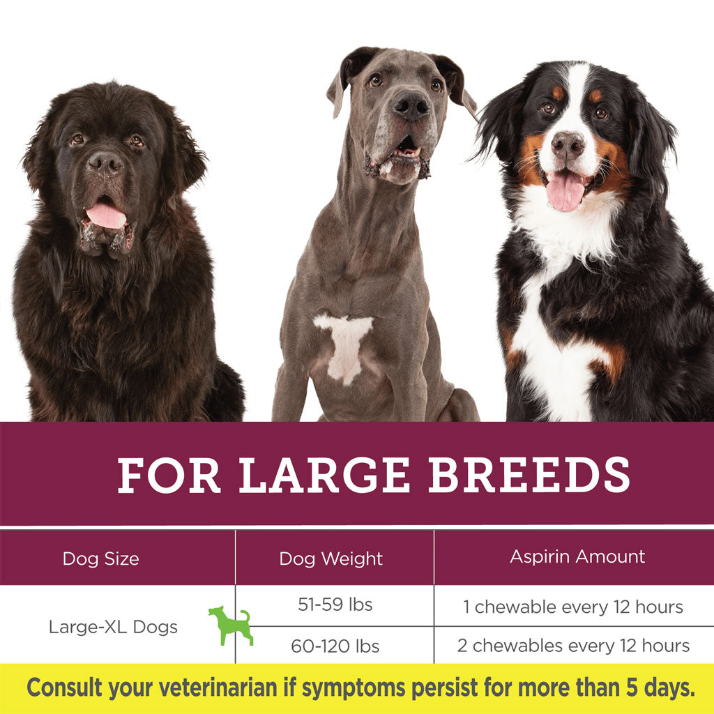 Mastiff Largest Dog Breed Weight Big Mastiff Pictures Big Dogs