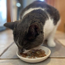 Ethical Pet I Love Cats Cat Saucer, 5"