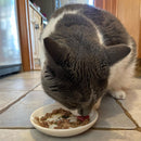 Ethical Pet I Love Cats Cat Saucer, 5"