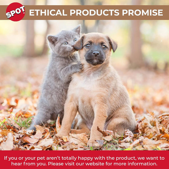 Ethical Pet I Love Cats Cat Saucer, 5"