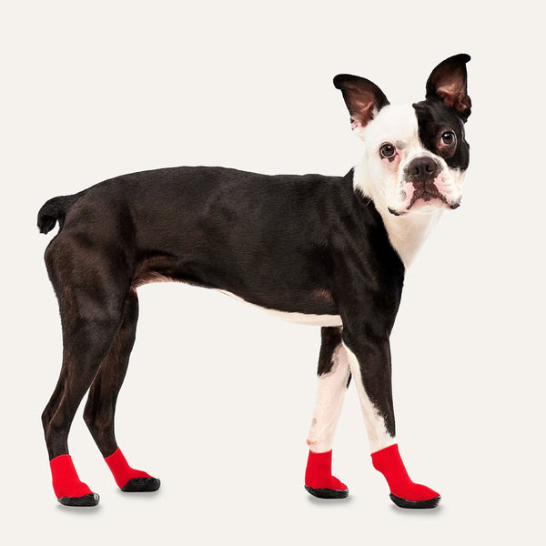 Goo-eez ULTRA Dog Boots