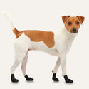 Goo-eez Lites Booties for Dog