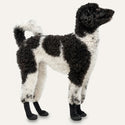 Goo-eez Lites Booties for Dog