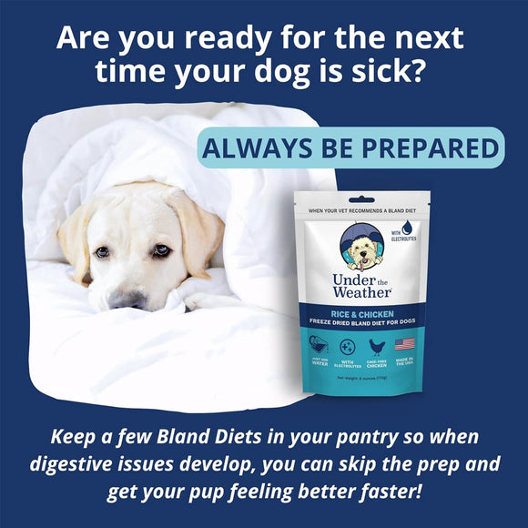 Under the Weather Rice & Chicken Freeze Dried Bland Diet for Dogs