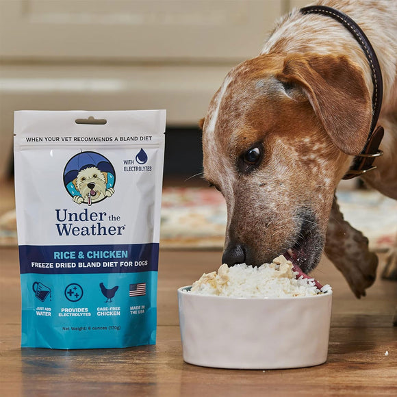 Under the Weather Rice & Chicken Freeze Dried Bland Diet for Dogs