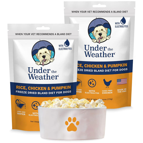 Under the Weather Rice, Chicken & Pumpkin Freeze Dried Bland Diet for Dogs