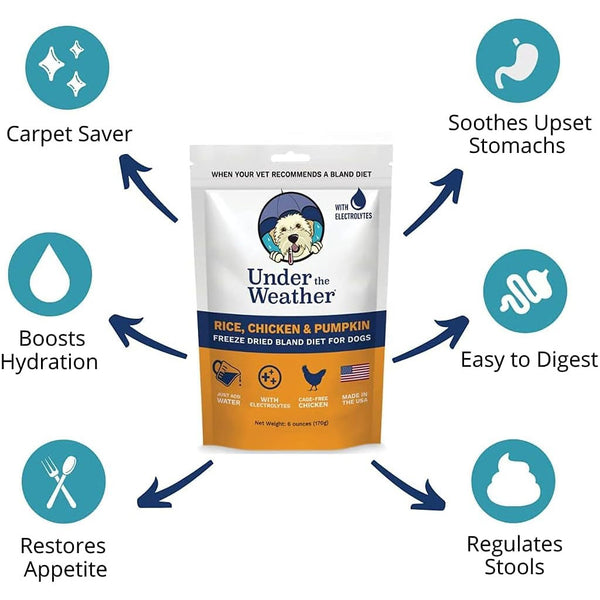 Under the Weather Rice, Chicken & Pumpkin Freeze Dried Bland Diet for Dogs Features