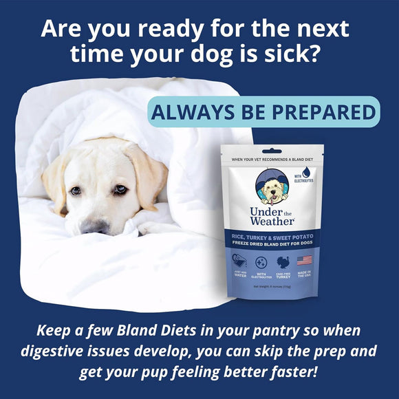Under the Weather Rice, Turkey & Sweet Potato Freeze Dried Bland Diet for Dogs