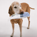 Under the Weather Rice, Turkey & Sweet Potato Freeze Dried Bland Diet for Dogs