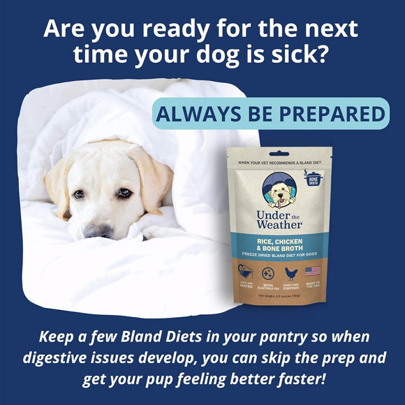 Under the Weather Rice, Chicken & Bone Broth Freeze Dried Bland Diet for Dogs