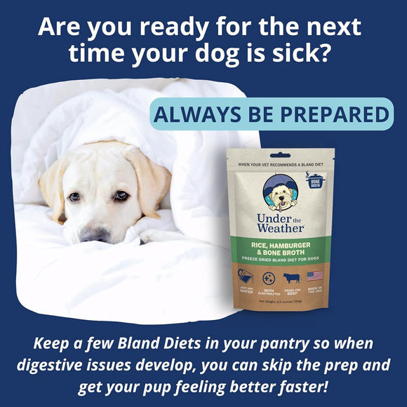 Under the Weather Rice, Hamburger & Bone Broth Freeze Dried Bland Diet for Dogs