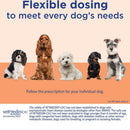 Vetmedin CA-1 (Pimobendan) 1.25mg