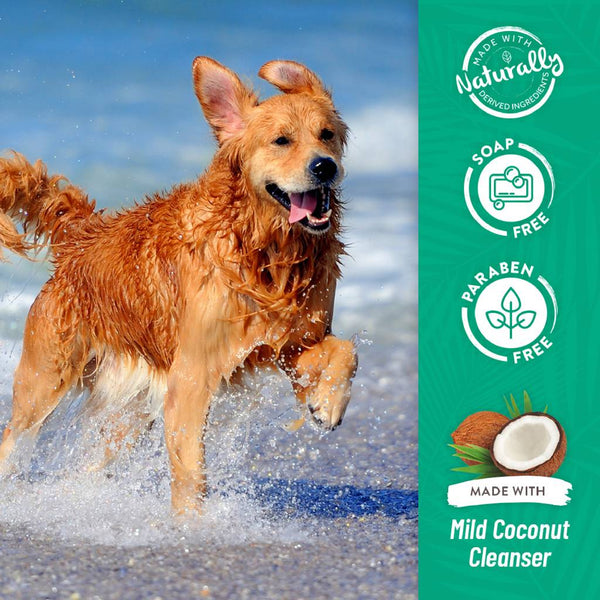 TropiClean Luxury 2-in-1 Papaya & Coconut Shampoo & Conditioner For Dogs & Cats (20 oz)