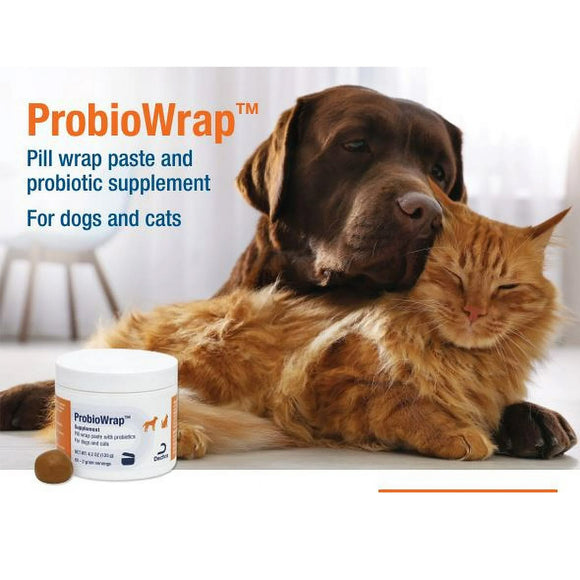 Dog and cat lying together with ProbioWrap supplement in the foreground