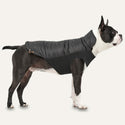 Goo-eez Mock Neck Signature Wrap Jacket Black for Dogs, Standing