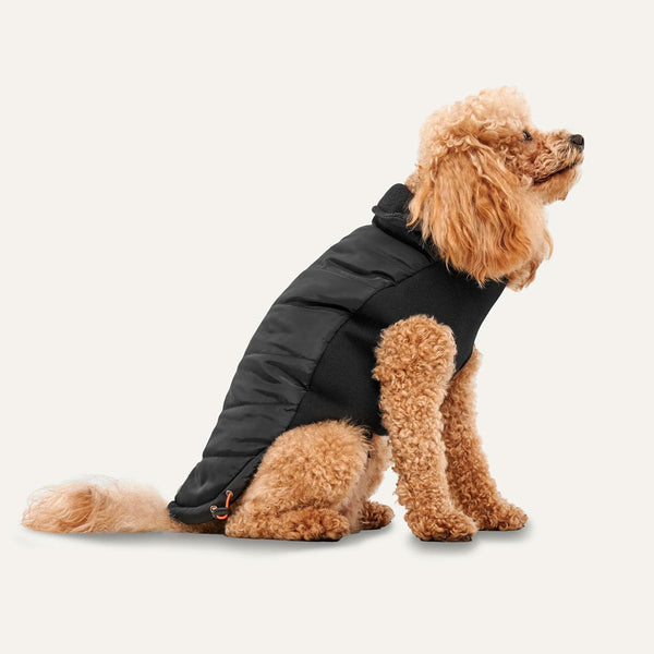 Goo-eez Mock Neck Signature Wrap Jacket Black for Dogs, on side sittign down