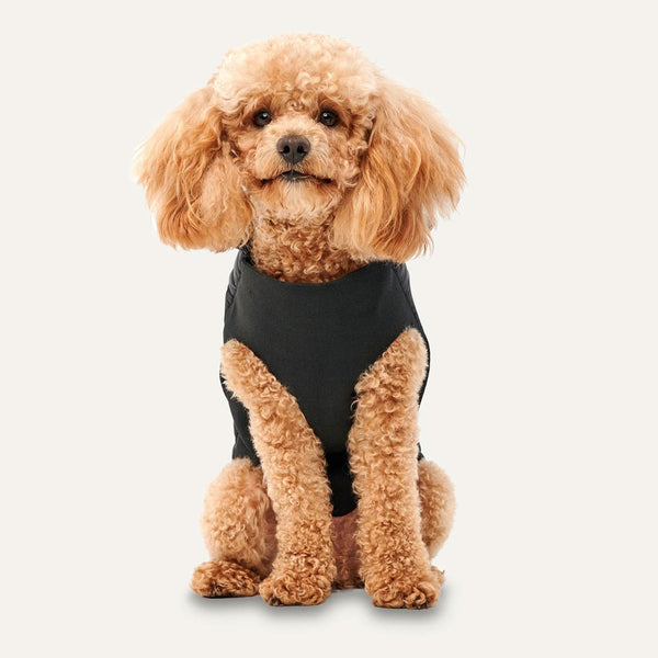 Goo-eez Mock Neck Signature Wrap Jacket Black for Dogs front side