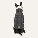 Goo-eez Mock Neck Signature Wrap Jacket Black for Dogs